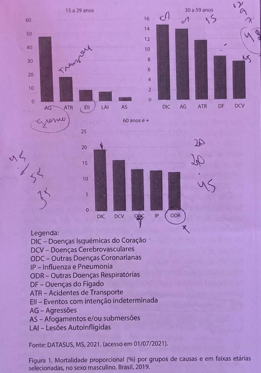 Imagem da questão de Indicadores de Saúde