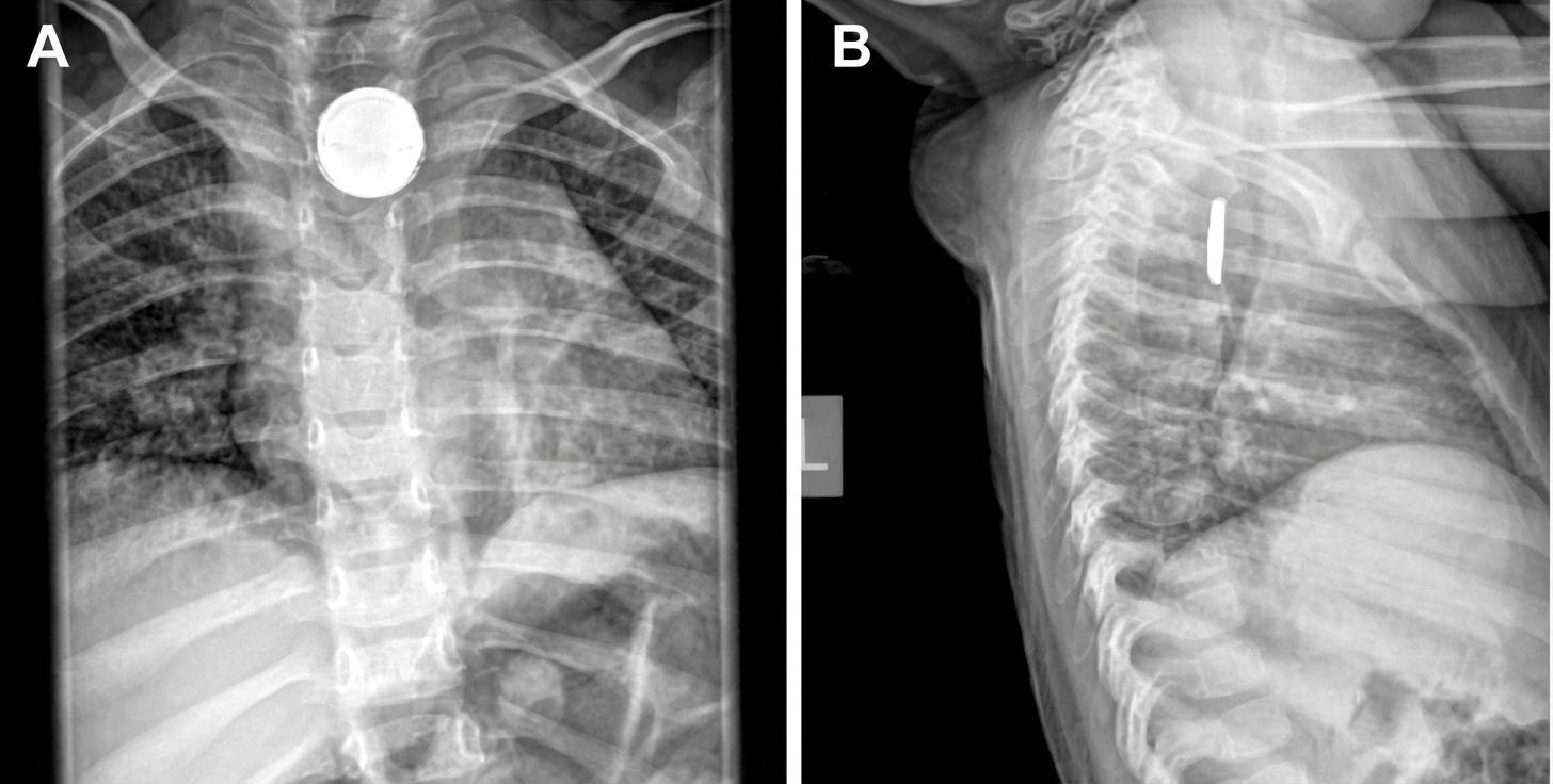 Imagem da questão de Emergências Gastrointestinais