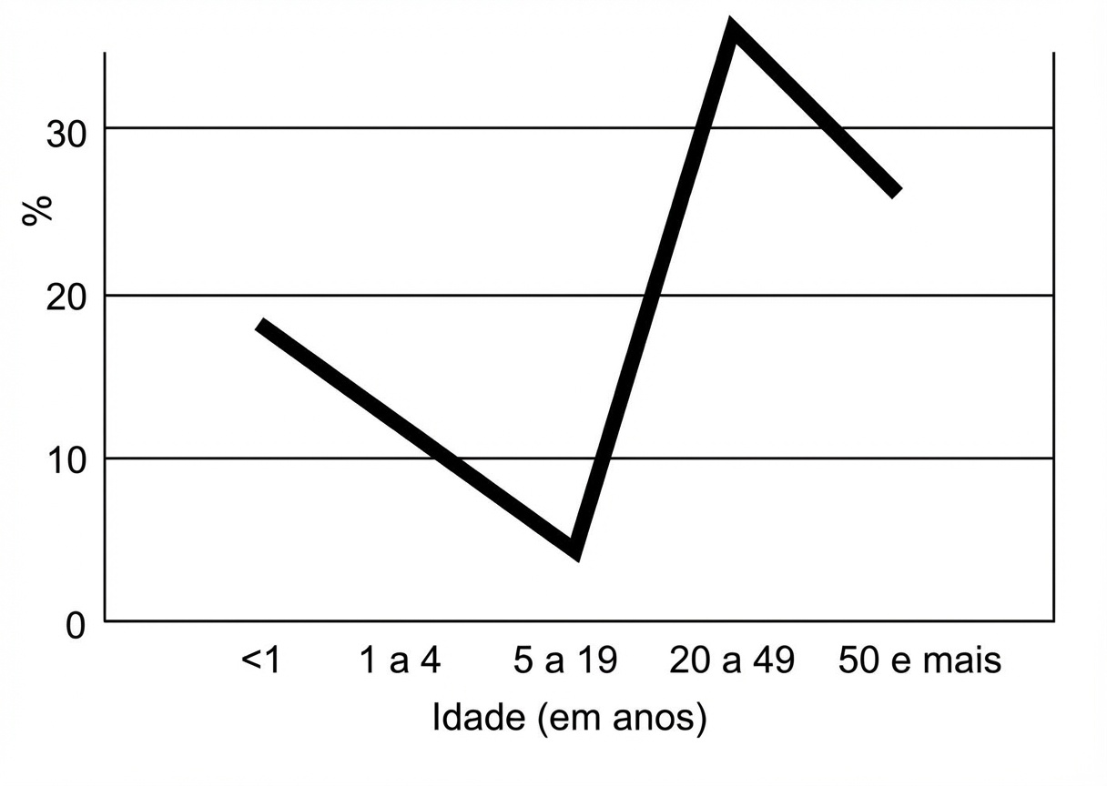 Imagem da alternativa C