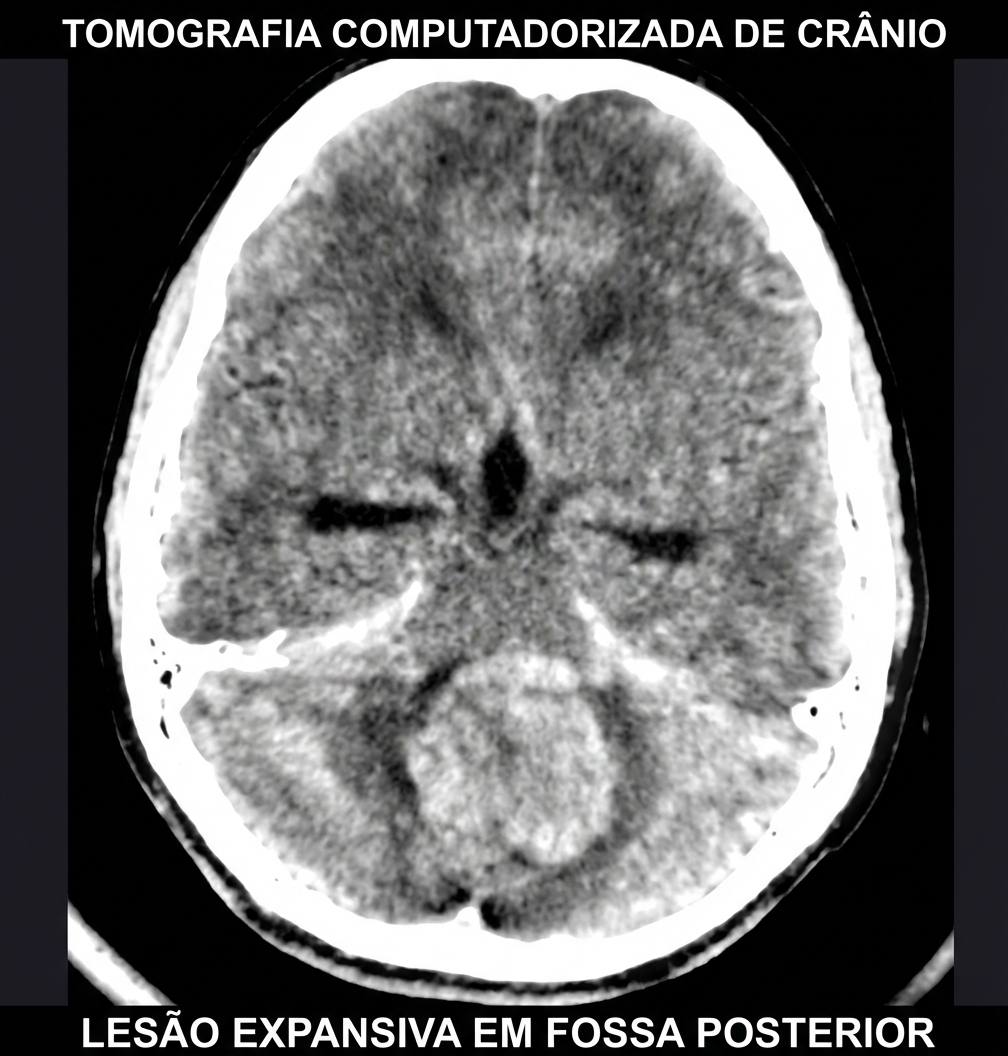 Imagem da alternativa D