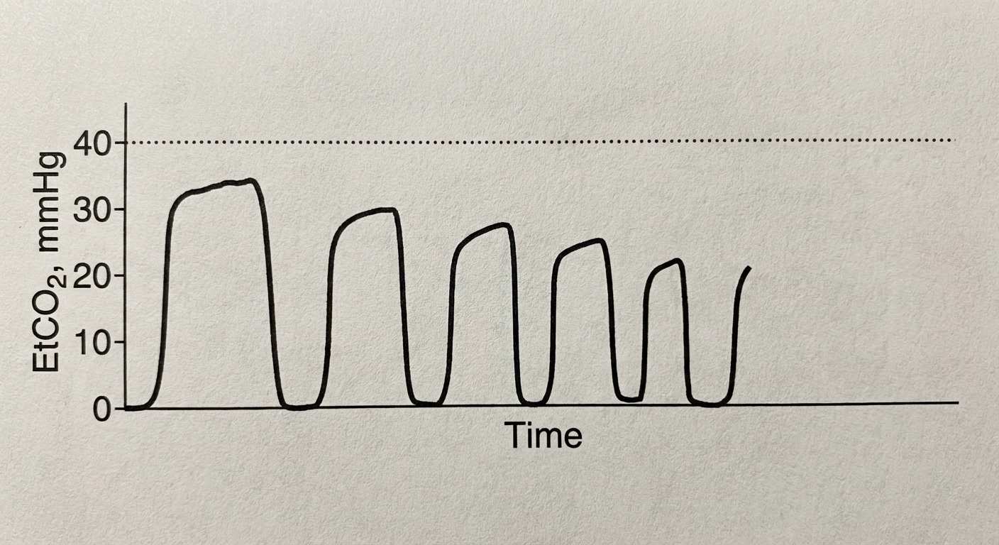 Imagem da alternativa D