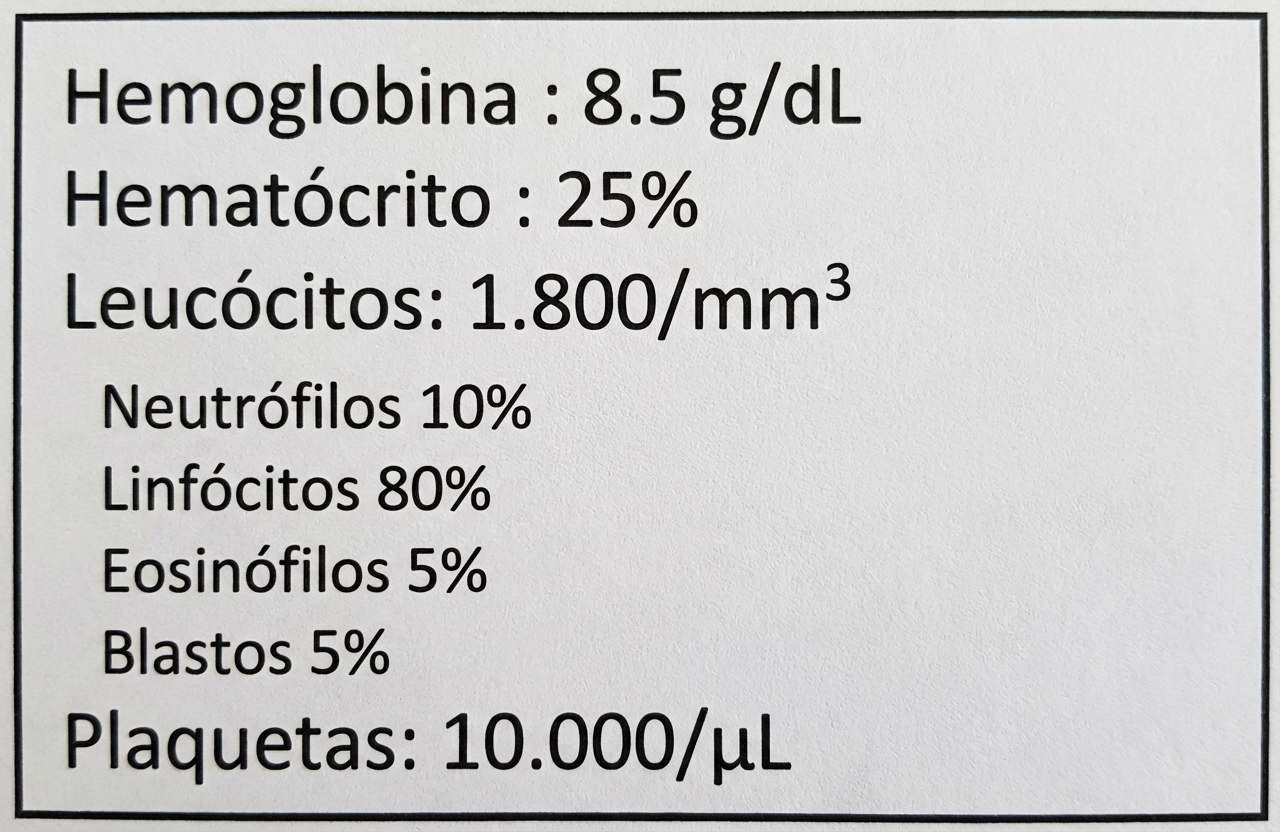 Imagem da alternativa B