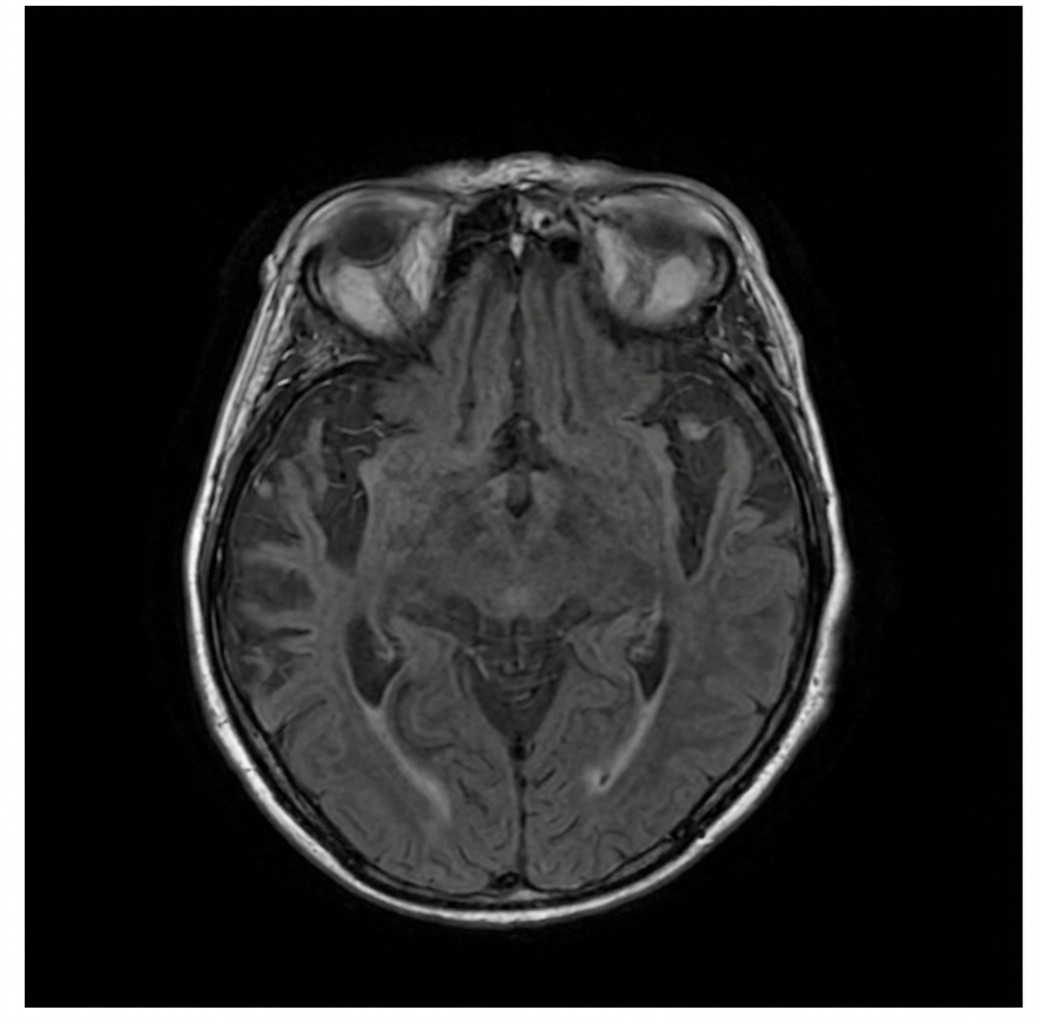 Imagem da alternativa D